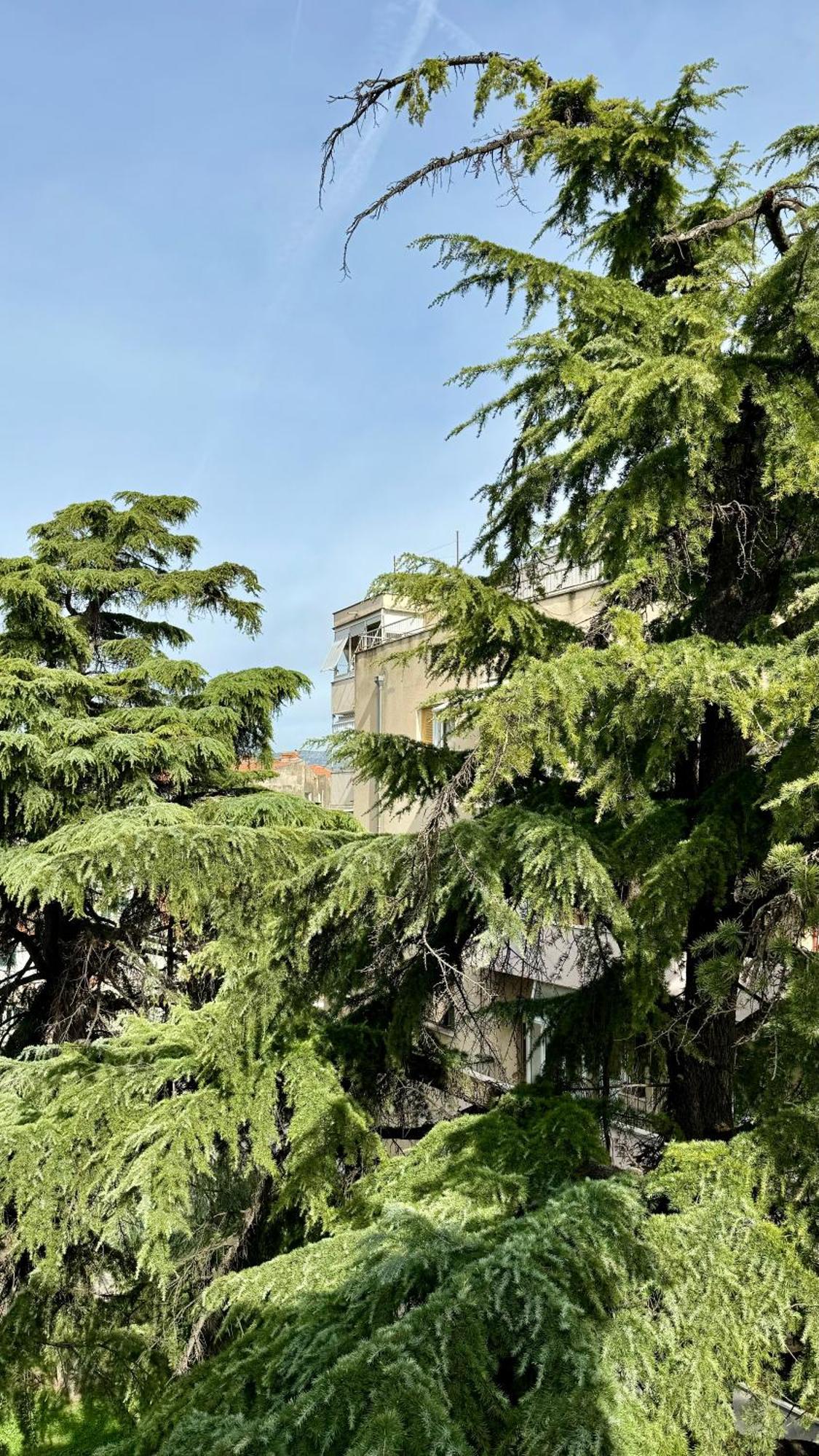 Jardin Rooms Split Exterior photo
